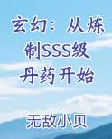 炼丹升级的小说