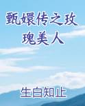 甄嬛传之玫瑰美人小说