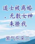 道士被离婚，无数女神来撩我