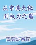从市委大秘到权力之巅小说5200