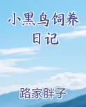 小黑鸟作者