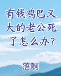 有钱鸡巴又大的老公死了怎么办？TXT小说
