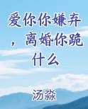 爱你你嫌弃，离婚你跪什么免费观看