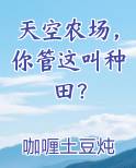 天空农场，你管这叫种田？原著小说
