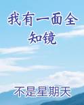 我有一面全知镜电子书