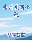时满夏之瑾小说